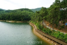 서울과 가까운 비대면 힐링여행지 파주로 오세요!