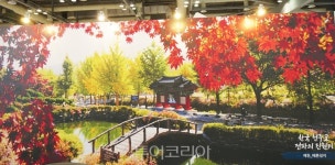 올 가을엔 내륙의 바다 충북 호수여행 즐겨보세요!