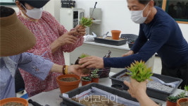 고양 원당화훼단지 견학가서 화분·바구니 체험해 봐요!