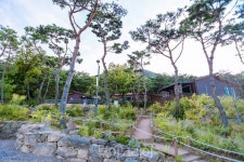 도심 속 초록 자연 쉼터 천안 태학산·태조산에서 힐링!    