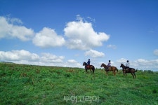 절반 값에 즐기는 색다른 제주 농촌 여행!