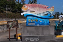 덜 알려져 더 좋은 제주 힐링 명소