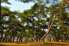 백제와 만나는 안심 언택트 공주 여행!