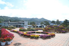 남원 지리산 허브밸리에서 그라스·국화정원 즐기며 가을 산책 만끽