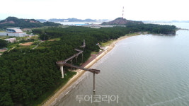 서천 장항스카이워크·송림산림욕장, 친환경 추천 여행지 선정