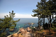 속초 바다향기로 복구공사 마치고 15일 전 구간 재개방