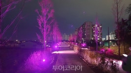 익산 인화공원 내 메타세쿼이아길 이름 솜리메타누리길로 확정