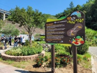 맛있는 정원마을 정선 조동리에서 심고 뜯고 맛보고 즐겨요!