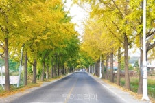 아세요? 충남의 아름다운 드라이브길 10선  
