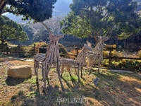 완도수목원, 목공예 조형물로 꾸민 나무 동물·로봇길 조성..볼거리 더해