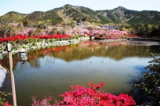 인증샷 찍기 좋은 인스타그램 명소 강진 남미륵사