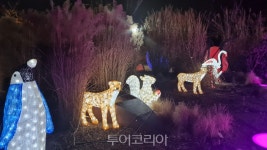 겨울명소 순천만국가정원 별빛산책에서 힐링