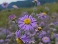 함께 걸어요!...여주 여강길 힐링과 쉼의 길 3-1코스 강천섬길