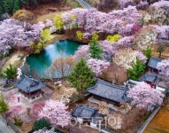 경남에서 안전한 봄나들이 떠나볼까! 