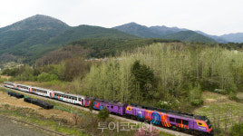 정선 민둥산역-아우라지역 잇는 정선아리랑열차 4월 운행 재개