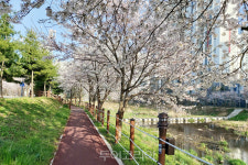 서산시, 성연천 산책로 조성...3km 산책로 걸으며 힐링하세요! 