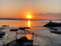 노란 유채꽃, 푸른 하늘·바다·소나무 어우러진 그림 같은 풍경 무안 송계어촌마을