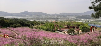 남원 지리산 운봉 바래봉 철쭉제 개막
