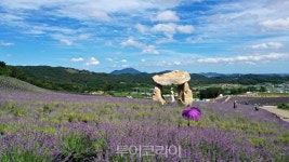 올 여름엔 정읍으로 힐링 여행