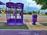 김호중소리길, 보랏빛 거리로 거듭난다! 