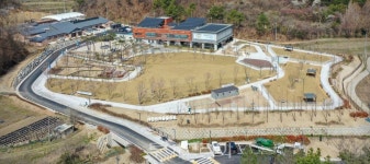 대전시,반려 동물과 함께 즐기는 물놀이장 운영 