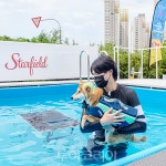 우리집 댕댕이와 신나는 물놀이.. 스타필드 하남, 스타필드 펫터파크 개장