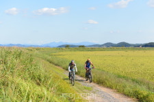 땅끝해남 자전거로 달리며 해남의 여름 매력 만끽!  