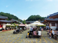 [안동시 관광소식]  구름에 토요상설 공연