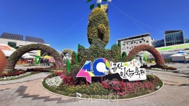 '금산인삼축제' 개막! 인삼 체험에 족욕·반신욕하며 건강 충전!
