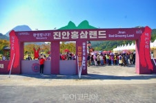 헬로, 진안! 천년 기운 충전하고 텐션 UP 진안홍삼축제