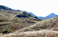 화왕산 은빛 억새 물결 장관!