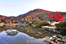 비움과 채움이 있는 가을 정원 속으로!②..진도 운림산방