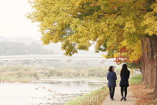 올 가을, 영동 양산팔경 금강둘레길 걸으며 힐링하세요! 