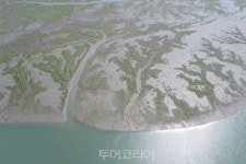 전남 신안 압해도에 갯벌 세계자연유산 보전본부 조성된다!