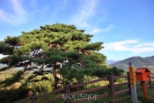 11월 가볼만한 달콤한 짠내투어 코스! 남원 지리산 둘레길