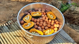 자연 그대로의 맛봐볼까!...무주 부남면 장안마을서 삼굿구이 체험 