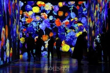 수험생은 빛의 벙커·빛의 시어터 최대 48% 할인 받아 아트투어 즐기세요!