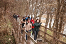 영동군, 양산팔경 금강 둘레길 걷기 행사