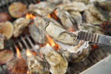추워지는 겨울, 보령 천북 굴단지로 굴 맛보러 오세요!