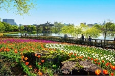 대전 한밭수목원, 한국관광 100선에 이름 올려