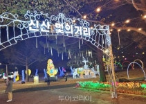 제주 신산 빛의거리 4만여명 찾았다...일평균 방문자수 1,400명, 전년比 190% 증가