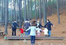 편백나무숲 거닐고 따뜻한 족욕하며 休! 광양 백운산 치유의 숲에서 웰니스 여행