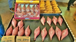 먹고 마시고 머무는 즐거움 가득한 해남