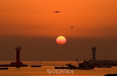 Foto hasil pencarian Naver 3