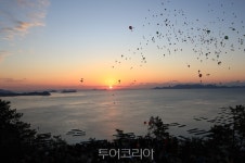 완도군, 안전 위해 '해맞이 행사' 취소.. 완도타워·다도해일출공원 개방
