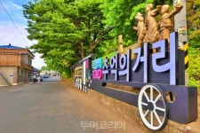 보성에서의 근사한 어느 멋진 날....인생샷 찰칵