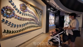 무주곤충박물관, 문체부 공립박물관 평가인증 획득