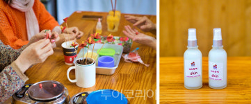 새해엔 희망 품고 미모도 활짝..예뻐지는 여행 떠나볼까요!①...제주동백마을