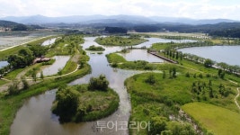 강릉시, 꽃으로 만나 억새로 추억하는 관광도시 조성 추진
