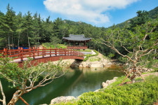 서해 리아스식 해안 눈에 담는 힐링 산행지 태안 백화산 올라볼까!